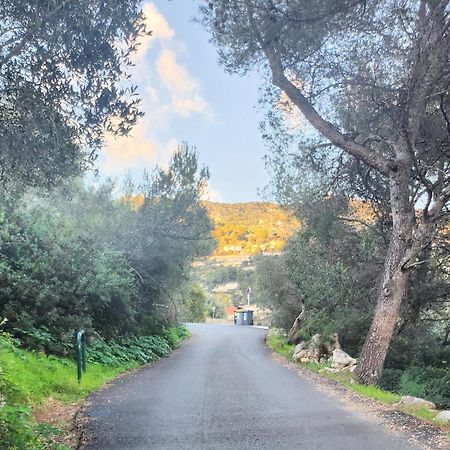 Le Mas D'Angeline, Vue Mer, Jardin Commun, Parking, Voiture Requise, 10 Min En Voiture De Monaco, Route Etroite, Pente Raide, Croisement Limite, Sea View, Shared Garden, Parking, Car Required, 10 Min Drive From Monaco, Narrow Steep Road, Limited Pass Beausoleil Dış mekan fotoğraf