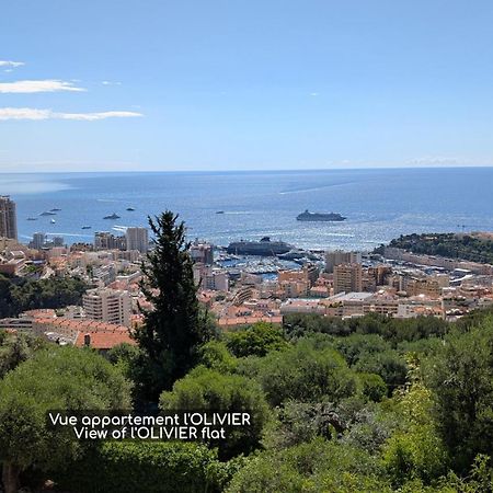 Le Mas D'Angeline, Vue Mer, Jardin Commun, Parking, Voiture Requise, 10 Min En Voiture De Monaco, Route Etroite, Pente Raide, Croisement Limite, Sea View, Shared Garden, Parking, Car Required, 10 Min Drive From Monaco, Narrow Steep Road, Limited Pass Beausoleil Dış mekan fotoğraf
