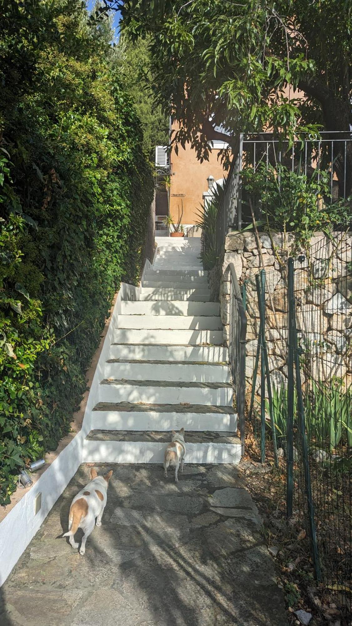 Le Mas D'Angeline, Vue Mer, Jardin Commun, Parking, Voiture Requise, 10 Min En Voiture De Monaco, Route Etroite, Pente Raide, Croisement Limite, Sea View, Shared Garden, Parking, Car Required, 10 Min Drive From Monaco, Narrow Steep Road, Limited Pass Beausoleil Dış mekan fotoğraf