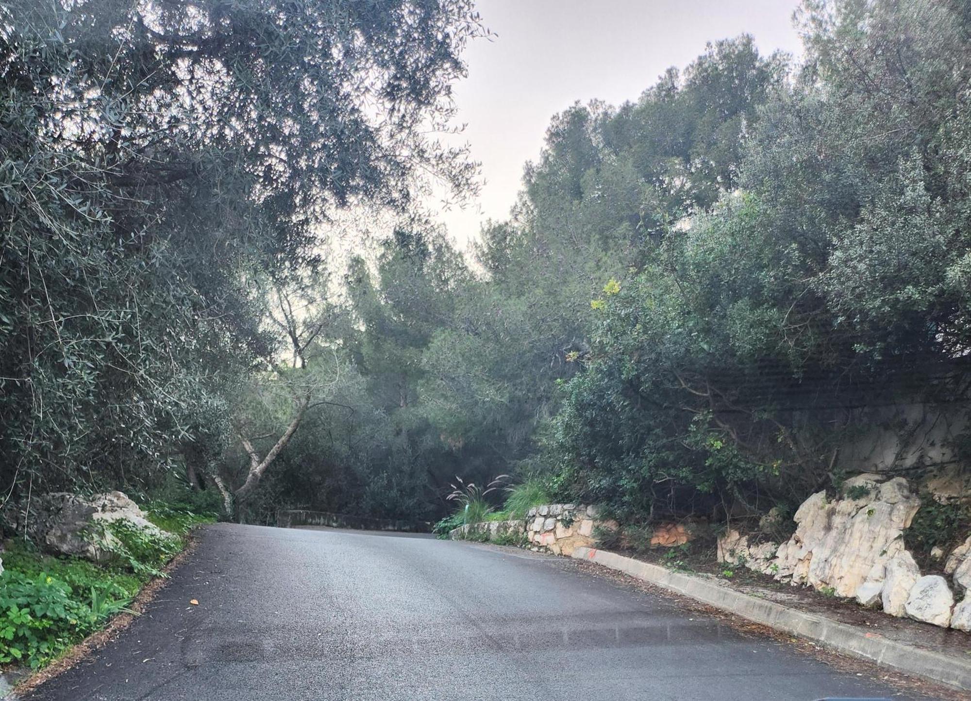 Le Mas D'Angeline, Vue Mer, Jardin Commun, Parking, Voiture Requise, 10 Min En Voiture De Monaco, Route Etroite, Pente Raide, Croisement Limite, Sea View, Shared Garden, Parking, Car Required, 10 Min Drive From Monaco, Narrow Steep Road, Limited Pass Beausoleil Dış mekan fotoğraf