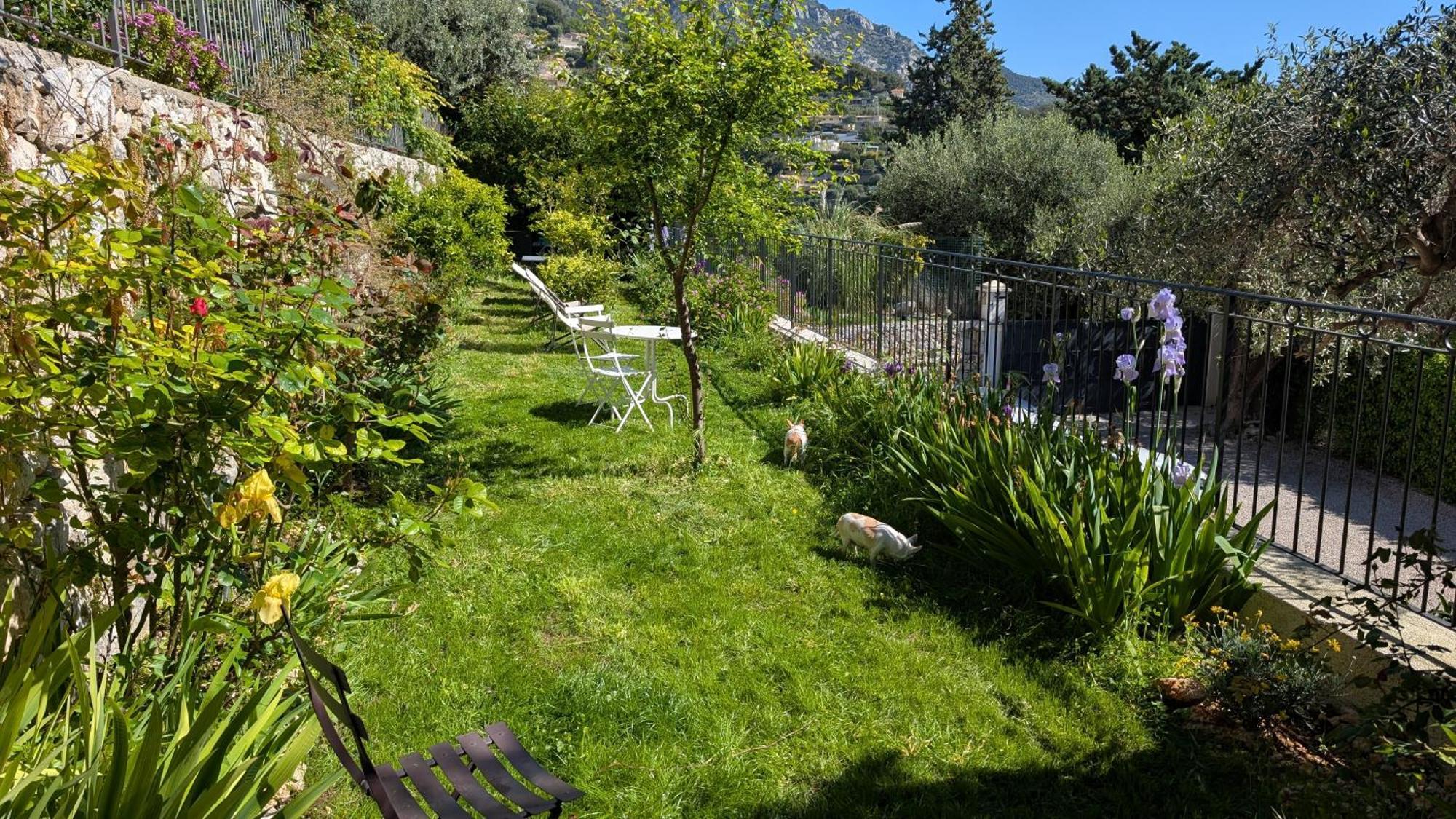 Le Mas D'Angeline, Vue Mer, Jardin Commun, Parking, Voiture Requise, 10 Min En Voiture De Monaco, Route Etroite, Pente Raide, Croisement Limite, Sea View, Shared Garden, Parking, Car Required, 10 Min Drive From Monaco, Narrow Steep Road, Limited Pass Beausoleil Dış mekan fotoğraf