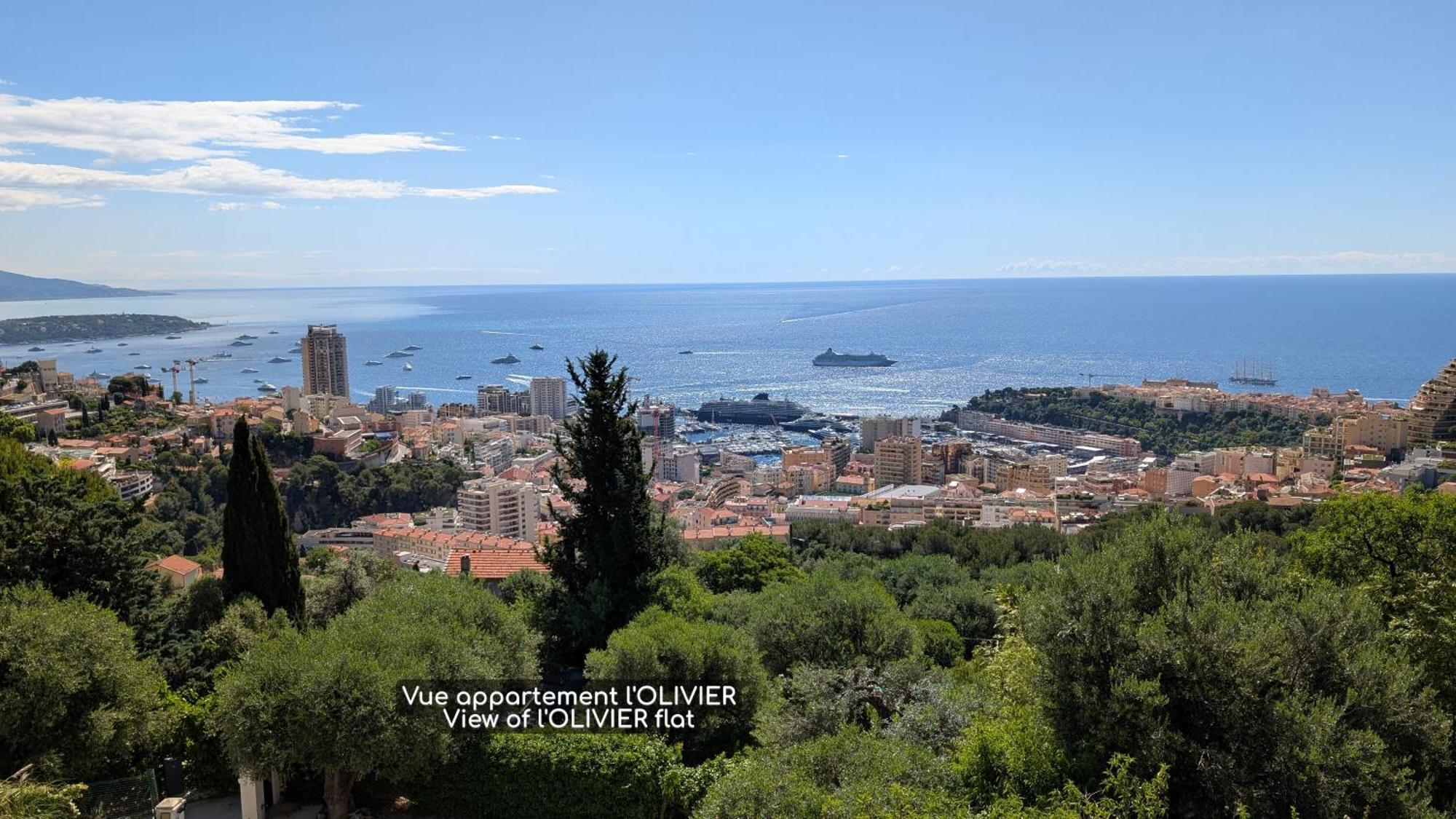 Le Mas D'Angeline, Vue Mer, Jardin Commun, Parking, Voiture Requise, 10 Min En Voiture De Monaco, Route Etroite, Pente Raide, Croisement Limite, Sea View, Shared Garden, Parking, Car Required, 10 Min Drive From Monaco, Narrow Steep Road, Limited Pass Beausoleil Dış mekan fotoğraf
